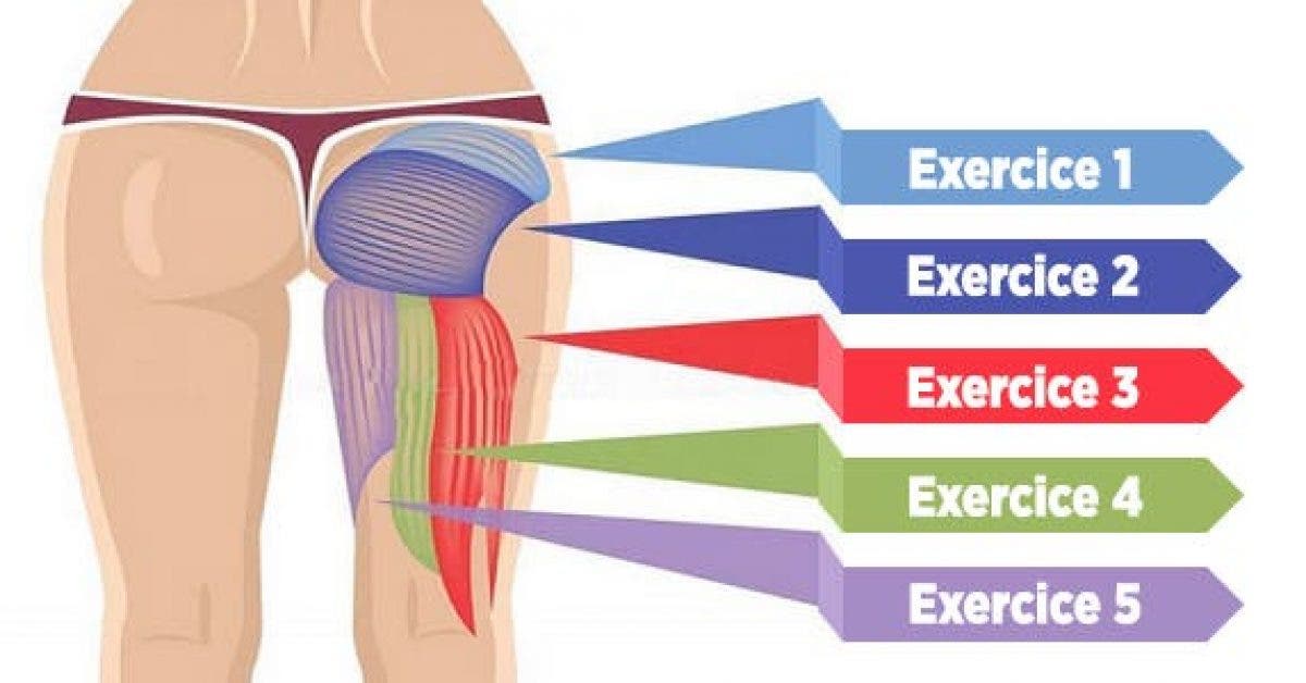 5 exercices puissants pour muscler vos fessiers, améliorer votre posture et brûler les graisses !