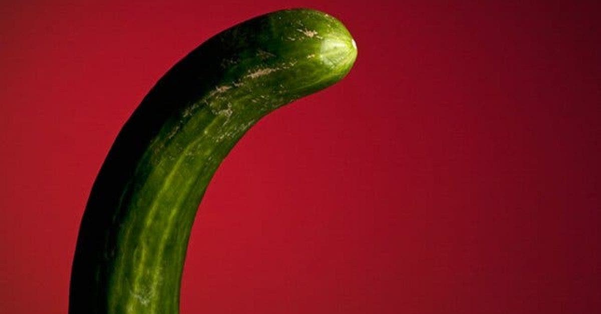 10 choses surprenantes au sujet du pénis