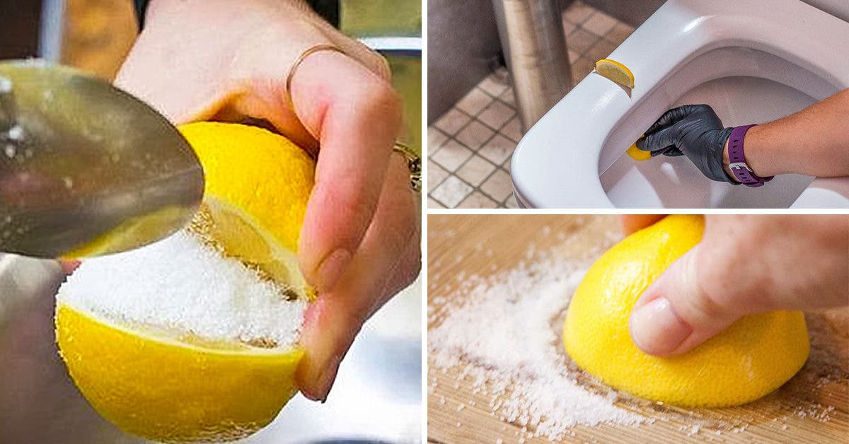 10 manières d’utiliser le citron pour nettoyer et désinfecter en profondeur votre maison (à la place de l’eau de javel)