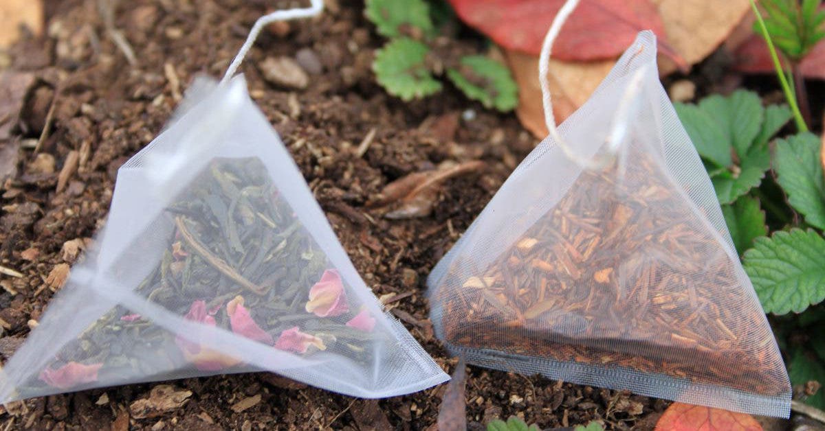 manières d’utiliser les sachets de thé utilisé dans le jardin