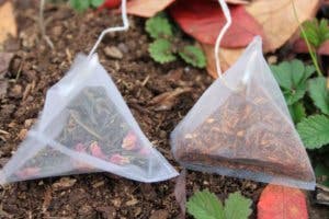 manières d’utiliser les sachets de thé utilisé dans le jardin