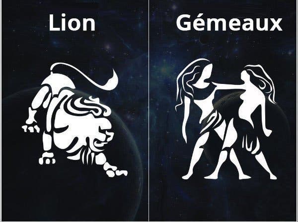 gemeaux et lion