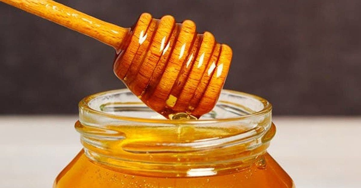 16 types de miel et leurs proprietes medicinales 1