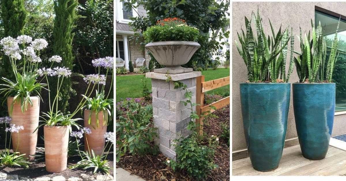 20 idées créatives pour embellir votre jardin avec de grands pots