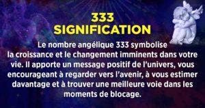 333 Signification angélique - amour, flamme jumelle, carrière, argent