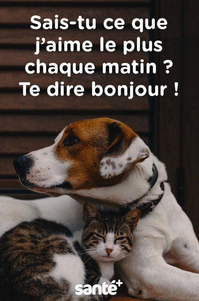 37 façons belles et originales de souhaiter une bonne journée en 2023