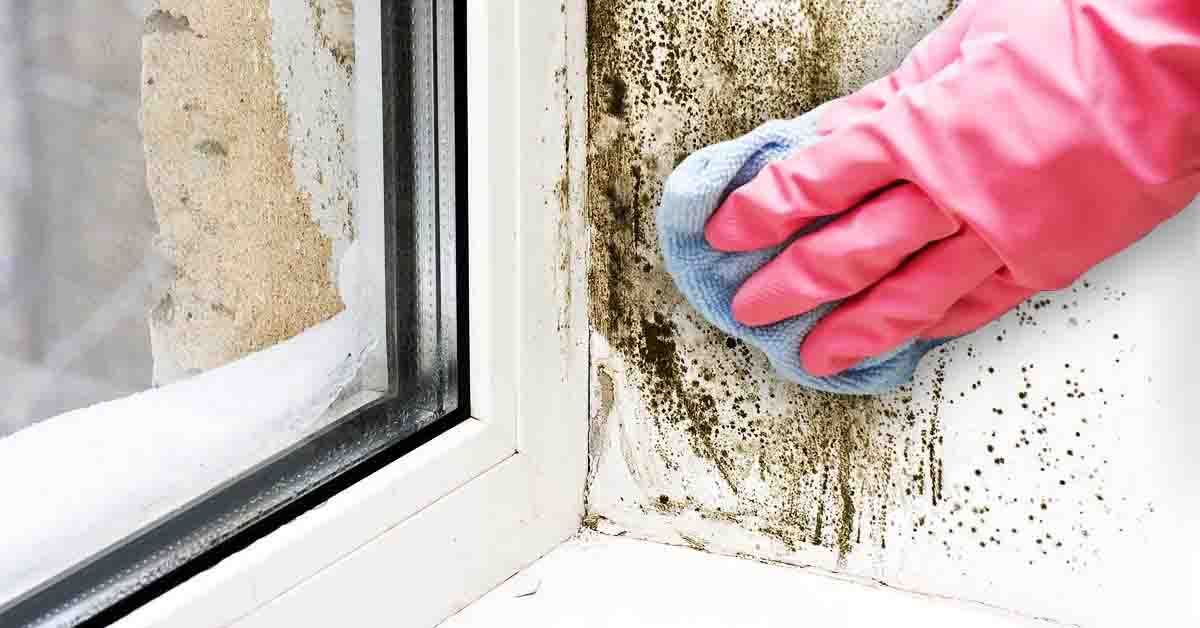 4 astuces pour se débarrasser des moisissures autour des fenêtres