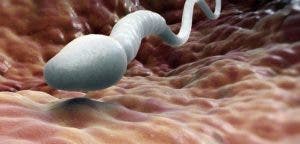 4 choses importantes sur le sperme que les femmes et les hommes doivent connaitre