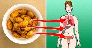 4 choses qui arrivent a votre corps lorsque vous mangez des amandes tous les jours 1