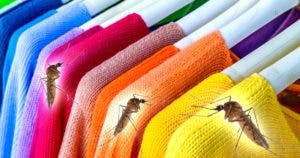 4 couleurs qui attirent les moustiques001