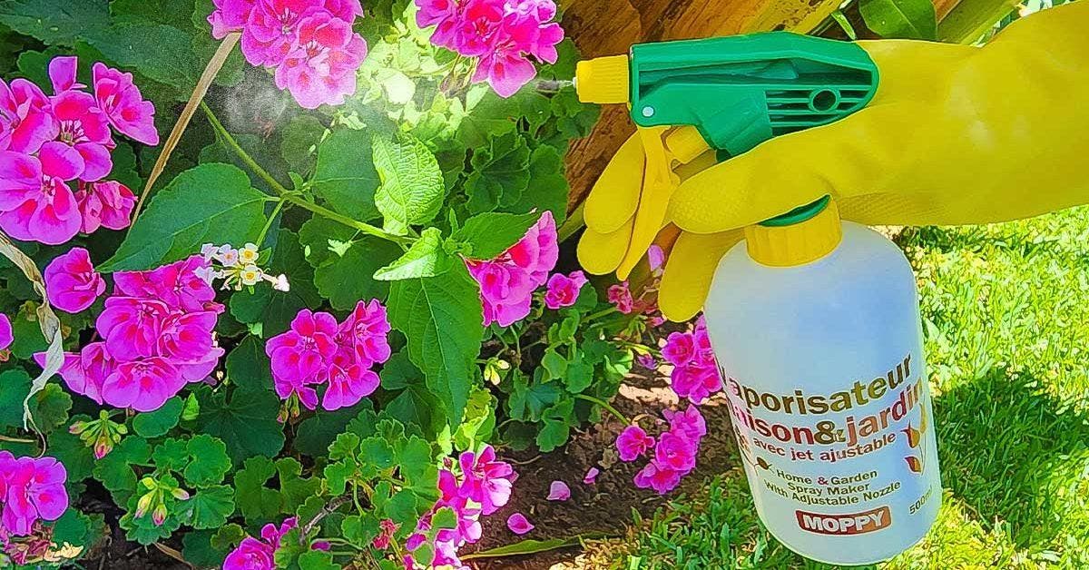 4 façons de préparer un anti-puceron naturel à base de bicarbonate