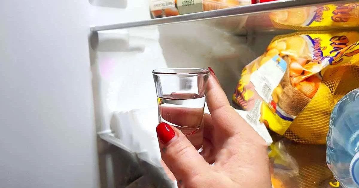 4 ingrédients naturels pour éliminer les mauvaises odeurs du réfrigérateur