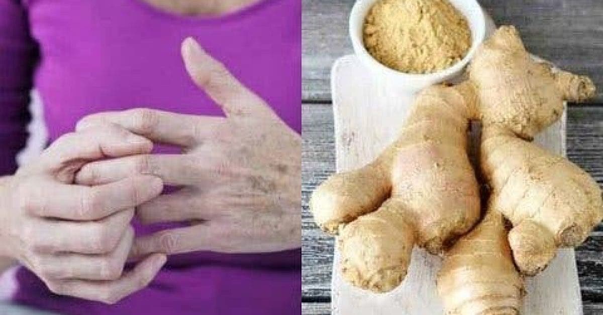 4 types de personnes qui ne devraient jamais consommer du gingembre - Cela met leur santé en danger