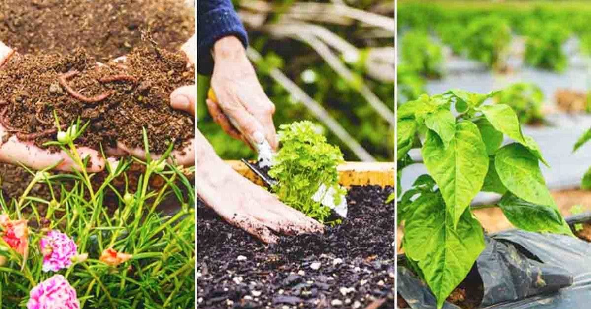 40 astuces naturelles de jardinier pour prendre soin de votre jardin