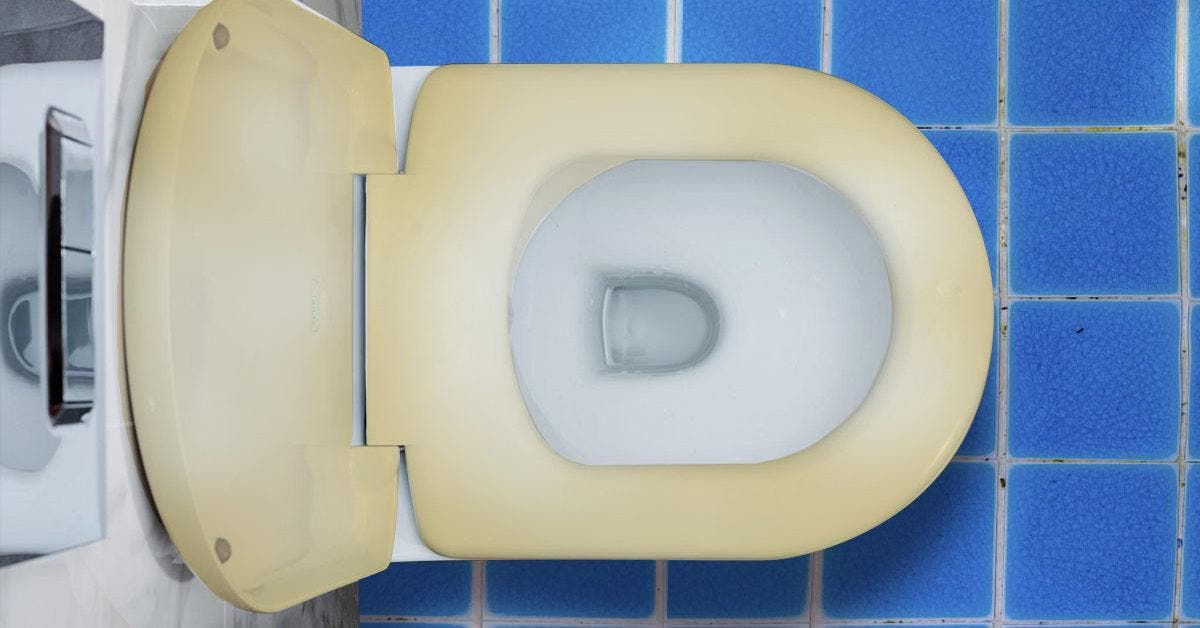 5 astuces de grands-mères pour nettoyer efficacement une lunette de WC jaunie