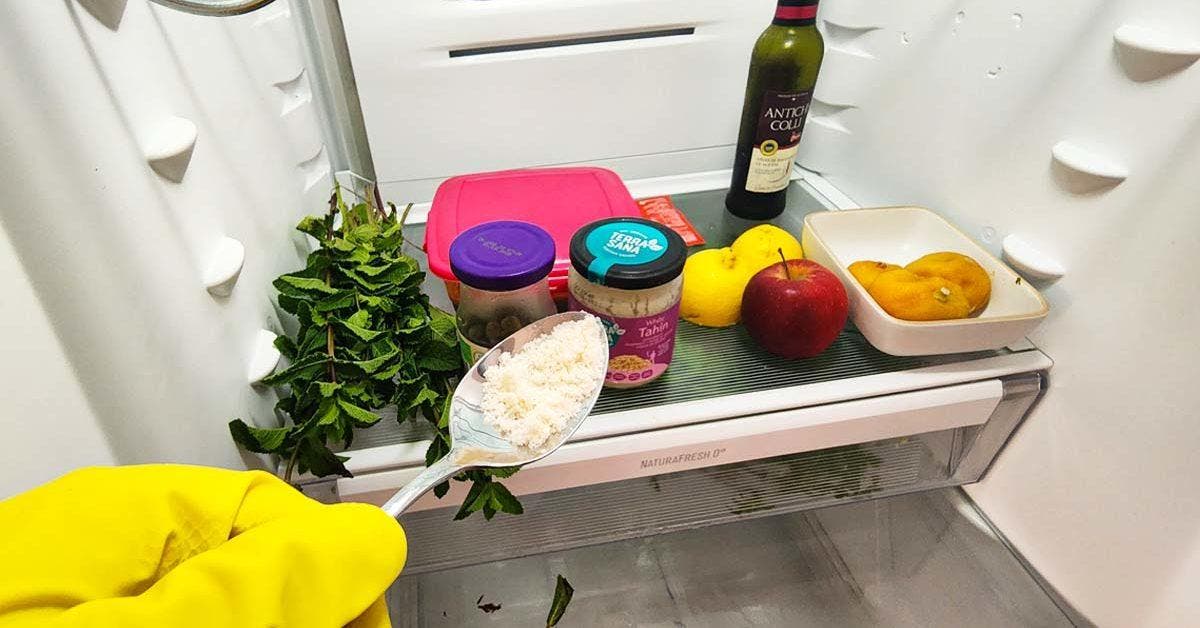 Comment supprimer les mauvaises odeurs du frigo ? Nos trucs et astuces !