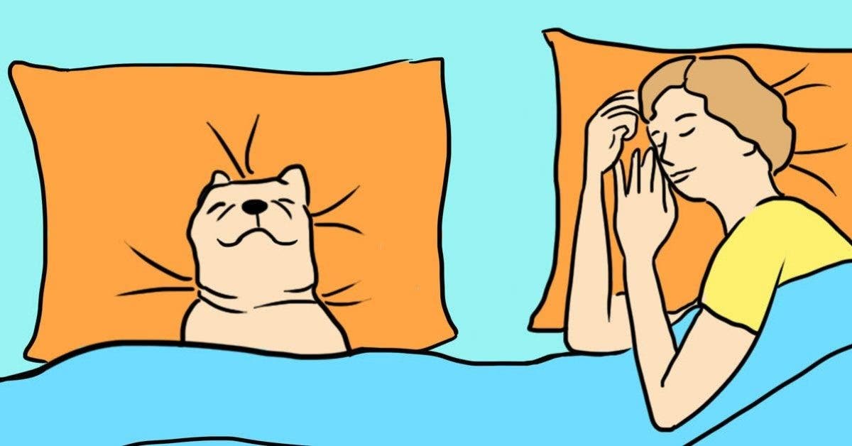 5 raisons surprenantes pour lesquelles votre chien doit dormir dans votre lit chaque nuit