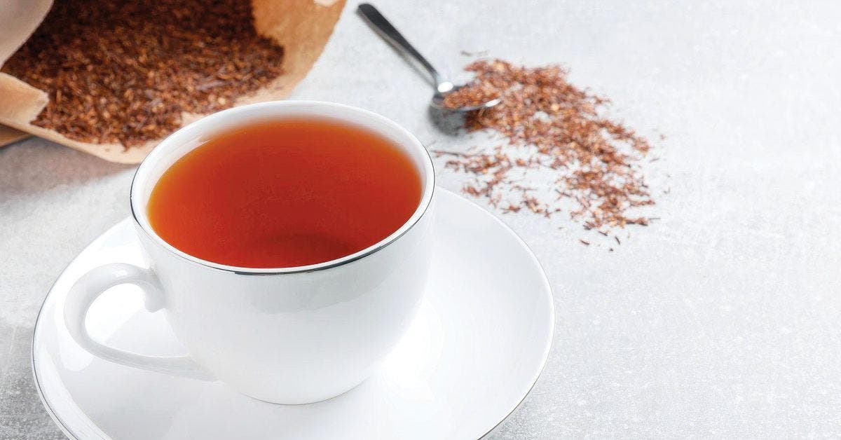 5 risques potentiels du thé Rooibos