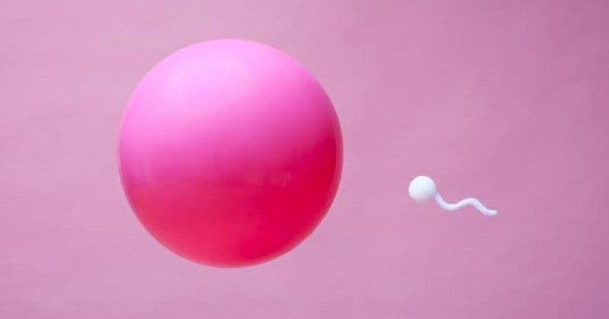 6 choses que vous ne savez pas a propos du sperme11