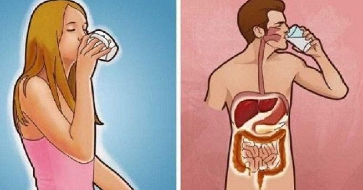 6 choses qui arrivent à votre corps quand vous buvez de l’eau tiède sur un estomac vide chaque mati
