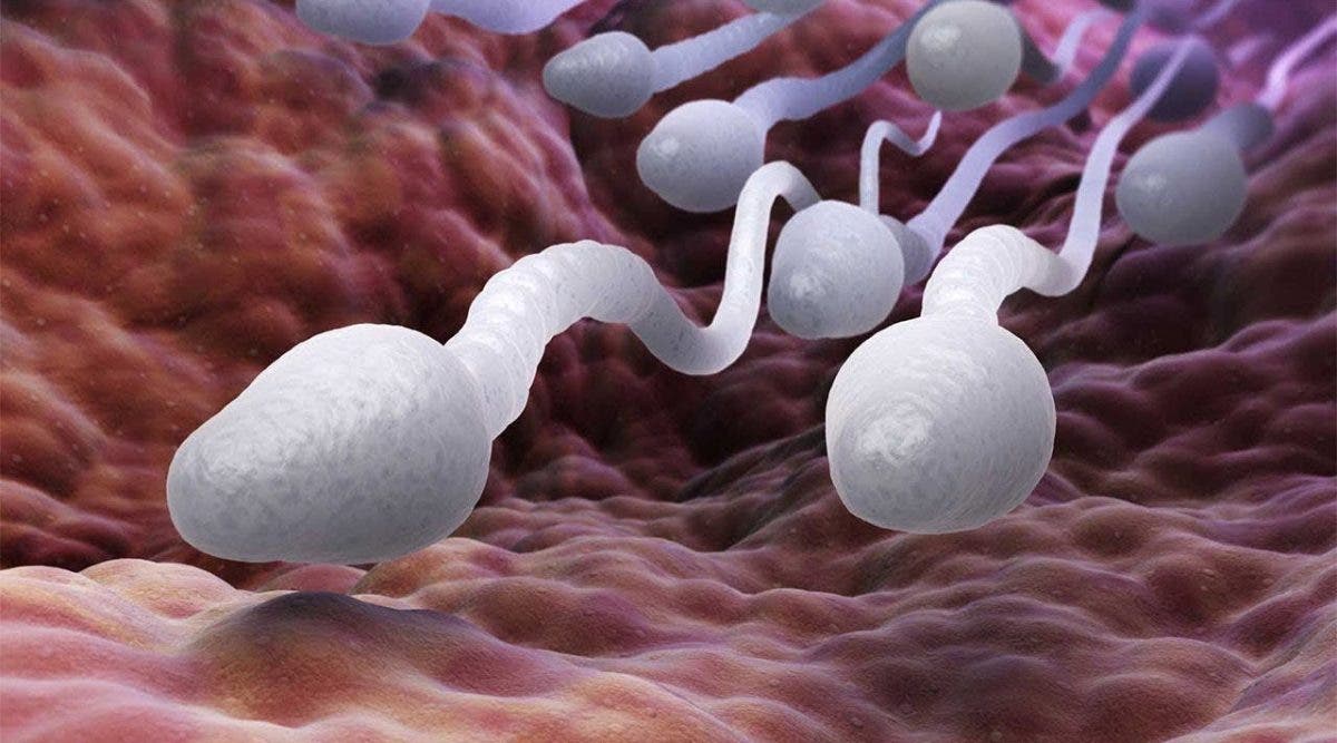 6 façons de rendre votre sperme plus fort, plus rapide et plus fertile