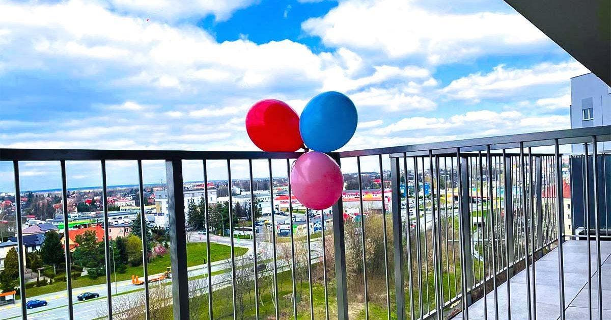 6 répulsifs maison pour se débarrasser des pigeons de votre balcon