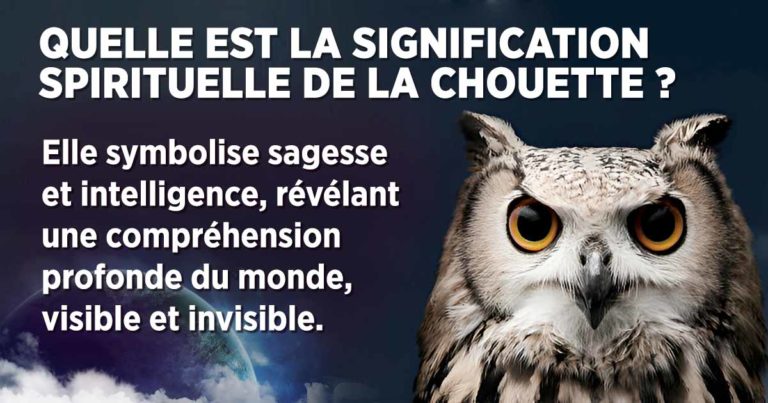 Entendre Une Chouette La Nuit Signification Spirituelle