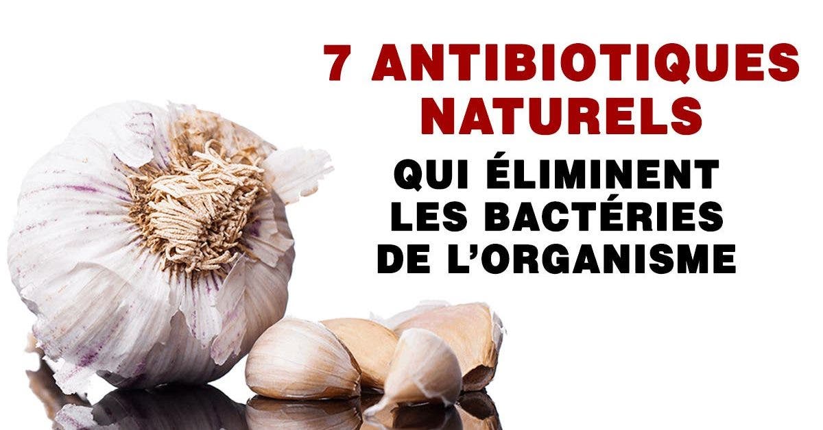 7-antibiotiques-naturels-qui-protegeront-votre-corps-contre-les-infections