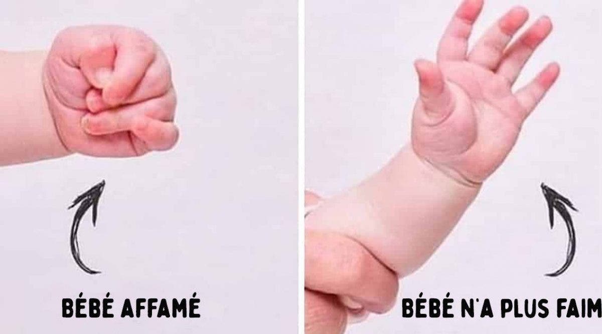 gestes pour décoder le language des bébés
