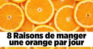 8 Raisons de manger orange par jour11