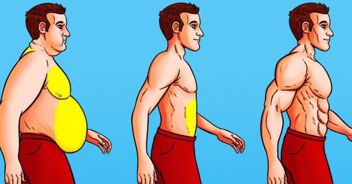 exercices pour la graisse abdominale bons pour votre santé