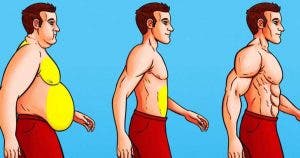 exercices pour la graisse abdominale bons pour votre santé