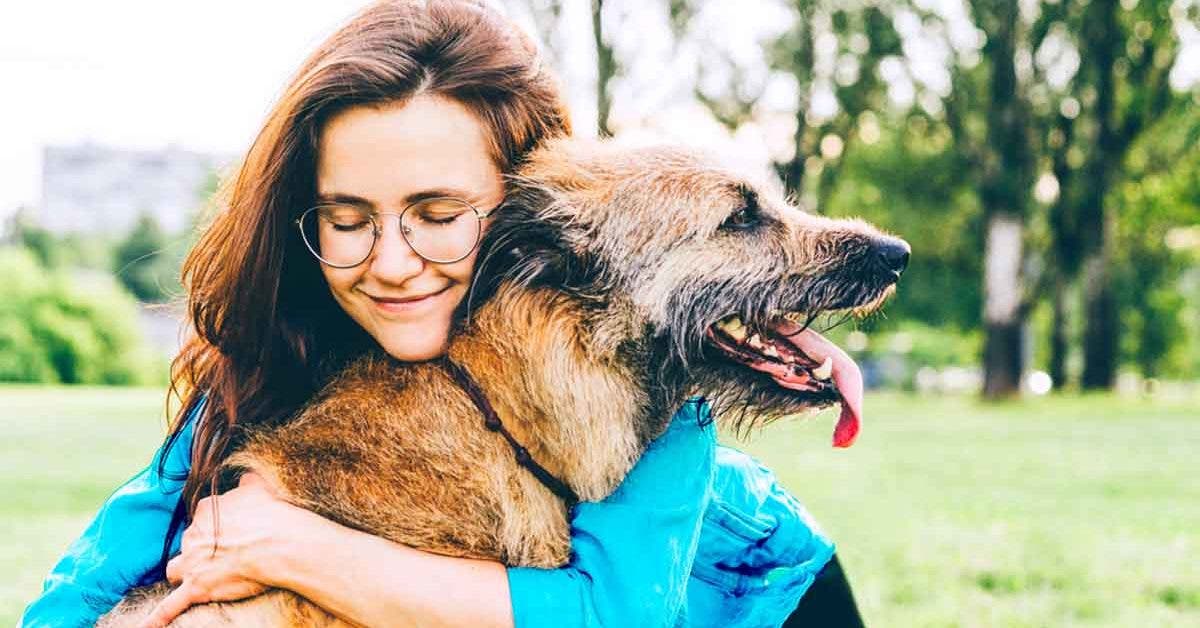 8 façons qu’a votre chien de vous dire « Je t’aime »