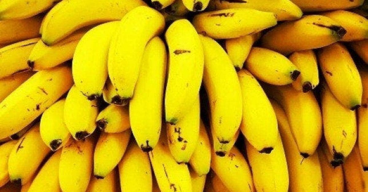 8 raisons de consommer un banane par jour