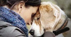 8 signes qui montrent que votre chien vous aime