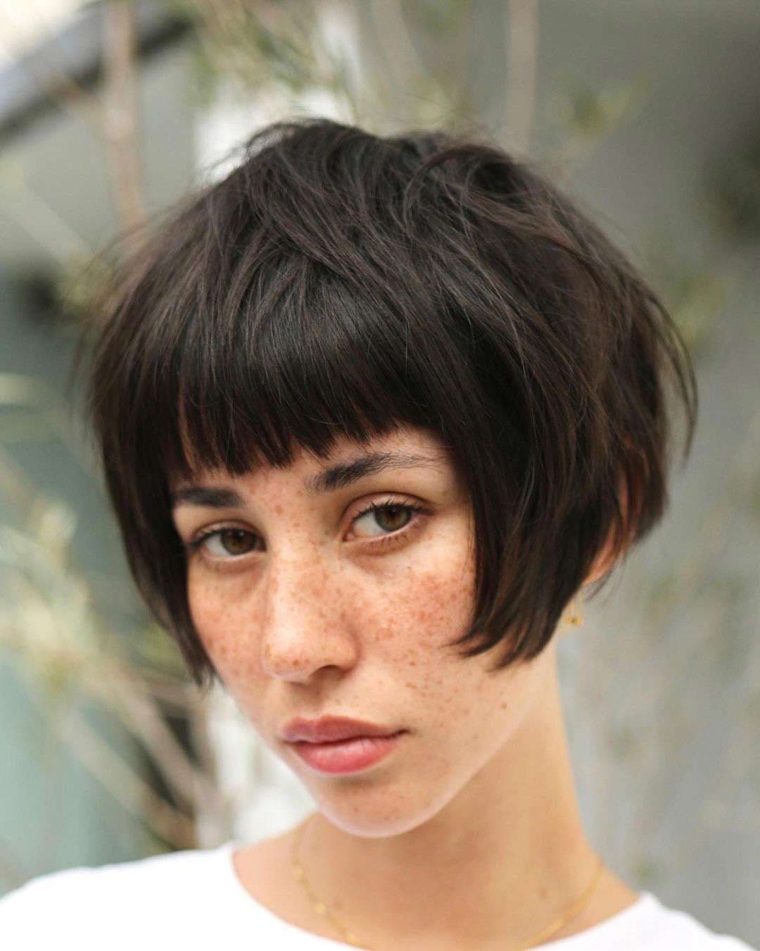 Coupe pixie bob. Source spm