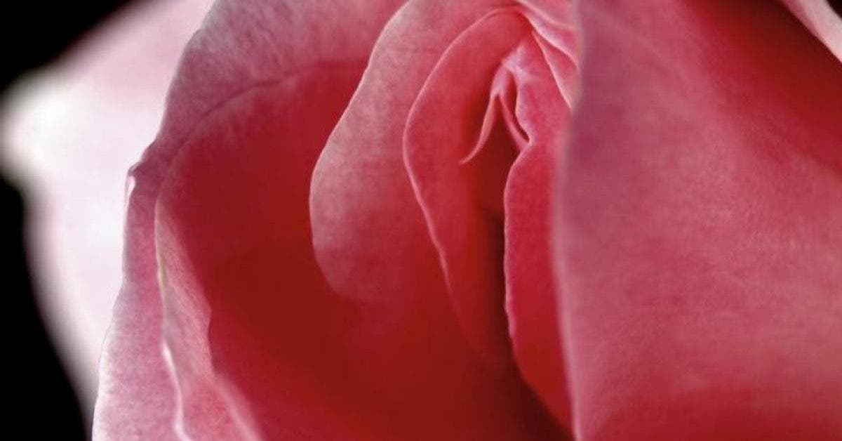 9 choses que les hommes devraient savoir sur le vagin