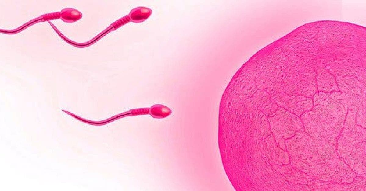 9 choses que vous ne savez pas sur le sperme11