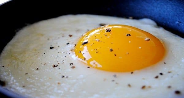 9 qui se passe dans votre corps quand vous mangez deux œufs par jour