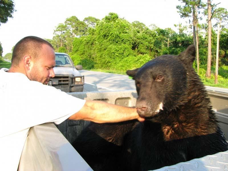 Adam en train de caresser l’ours noir