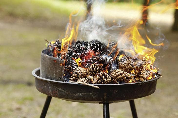 Light a barbecue with pineapples