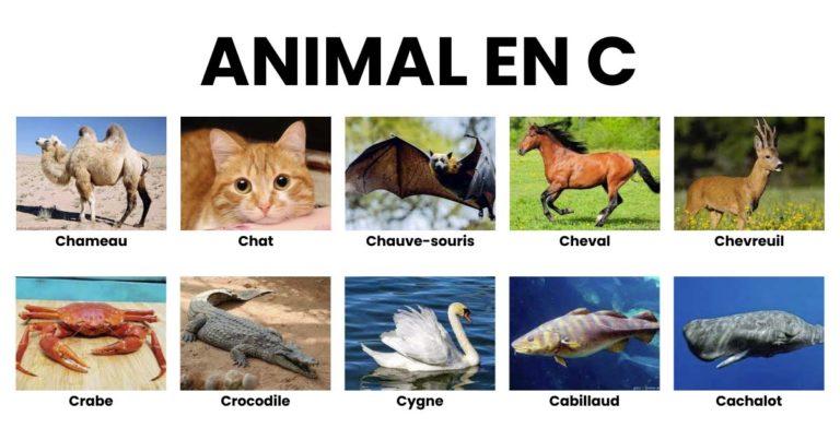Animal en C : la liste des animaux commençant par C