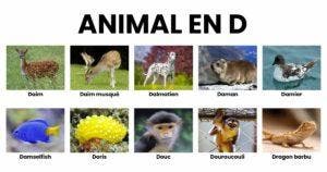 Animal en D _ la liste des animaux commençant par D