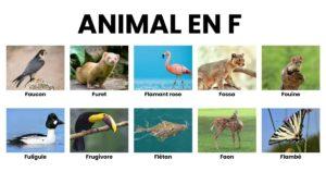 Animal en F la liste des animaux commençant par F