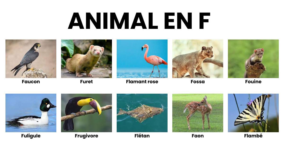 Connaître et choisir ses animaux de compagnie — free download
