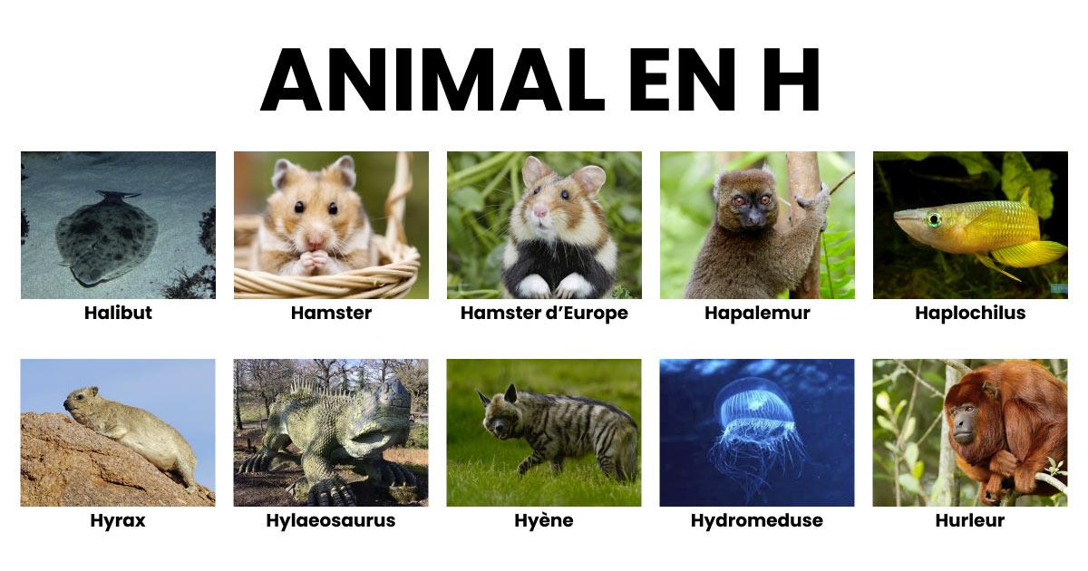 Connaître et choisir ses animaux de compagnie