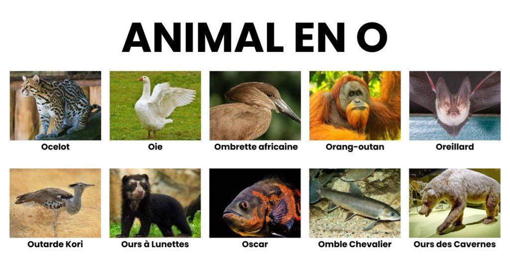 Connaître et choisir ses animaux de compagnie