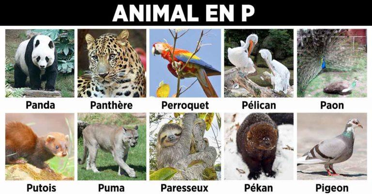 Connaître et choisir ses animaux de compagnie