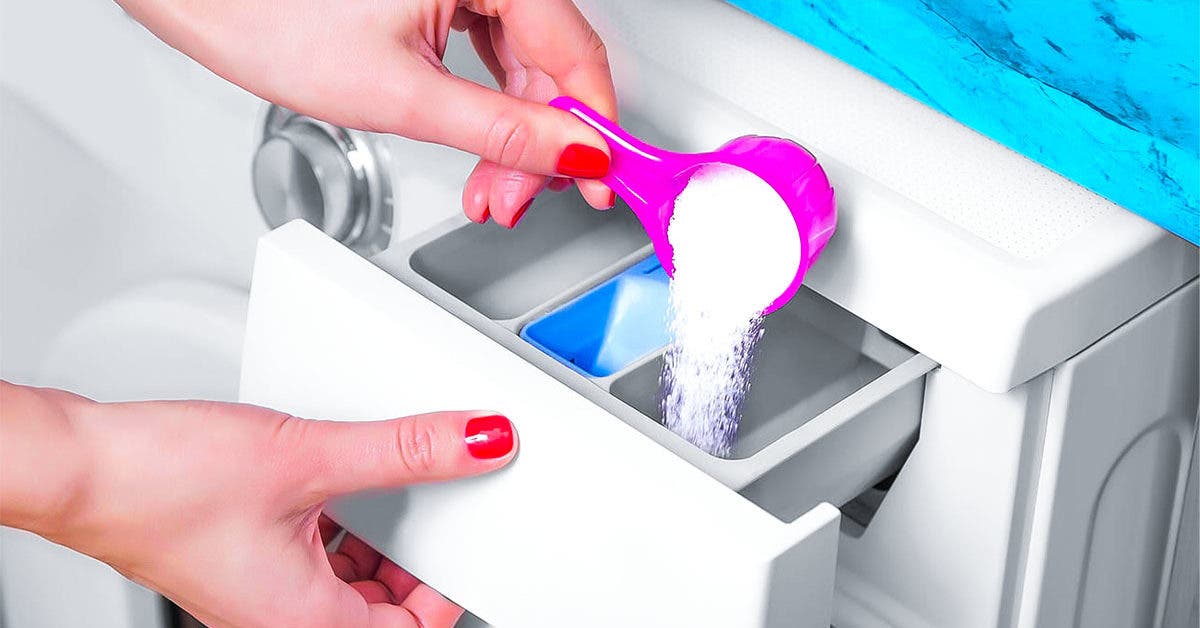 Après chaque lavage, versez-en dans la machine à laver et vous oublierez les moisissures et les mauvaises odeurs final