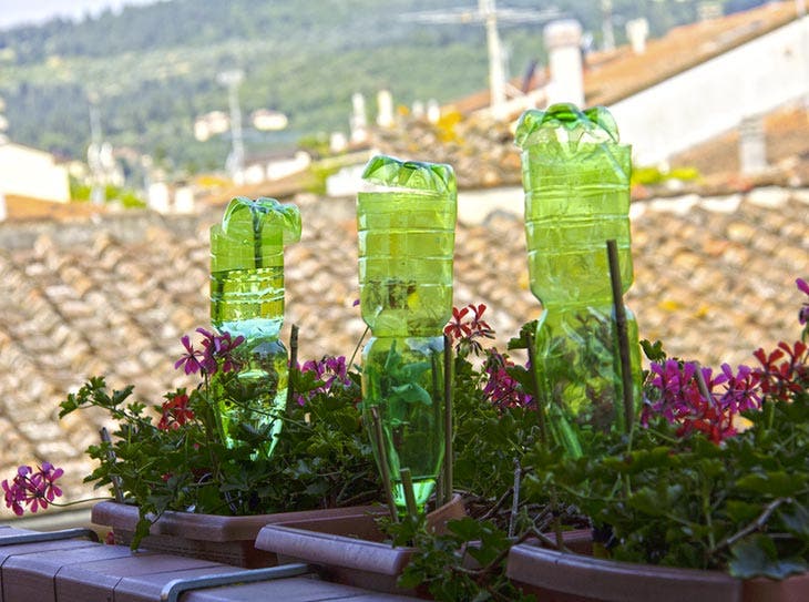 Regar las plantas con botellas